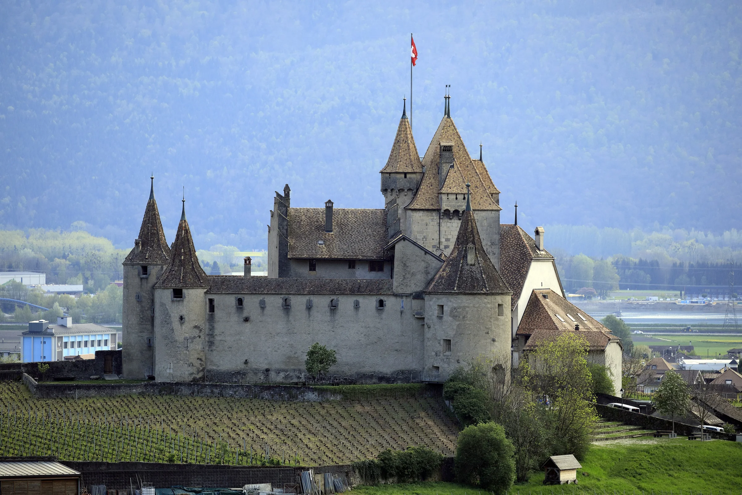 Château d’Aigle au milieu des vignobles