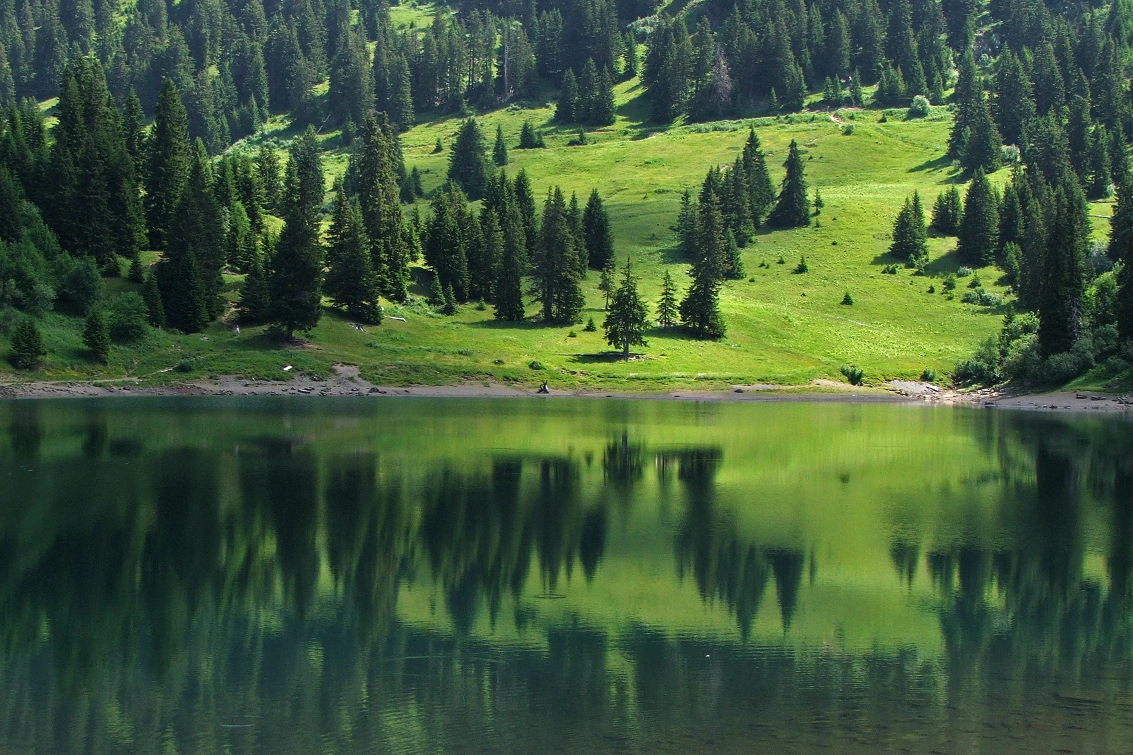 Reflets printaniers au Lac des Chavonnes